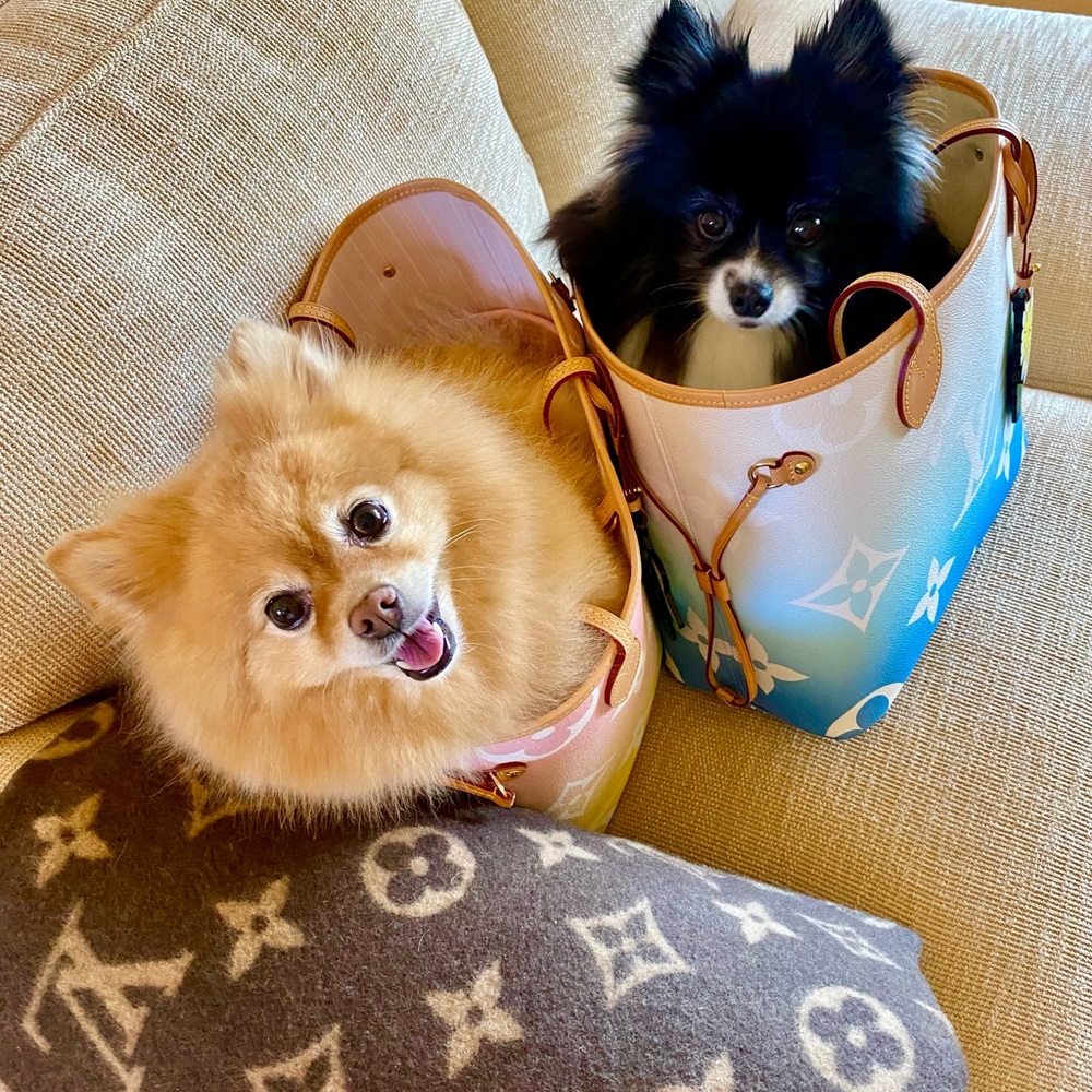 Neverfull of Poms